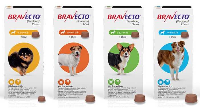 Thuốc Bravecto trị ghẻ lở cho chó